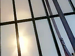 In Cage