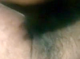 Indian black cock