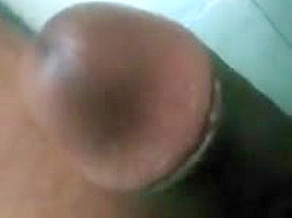Indian black cock