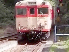 Japanese Video Outdoor 005