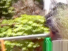 Japanese teens 18+ having fun peeing in public