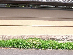 Japaness Bondage
