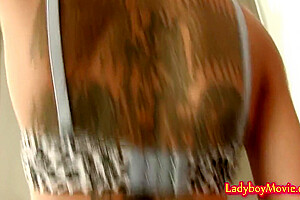 Ladyboy Sky Fucked Bareback 6 Min