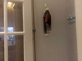 Long Black Cock Texts 215-817-5253 for Deep-Throat at Philly Glory Hole