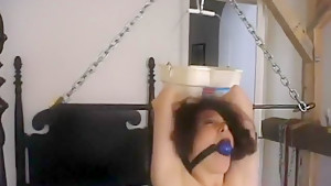 Lyssa