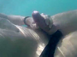 Men In Adidas Speedo black with white stripes (pool 2)
