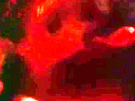 Monique Parent in Breastford Wives