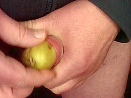 Mr  Potato foreskin - 2