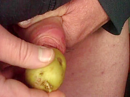 Mr  Potato foreskin - 2