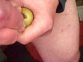 Mr  Potato foreskin - 2