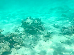 My Naked Diving On A Public Beach - Rate What I Can Do Underwater