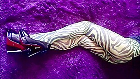 My ass and legs in nylon zebra pantyhose and heels