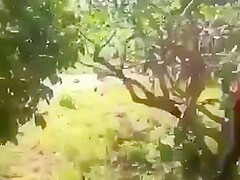 Mzansi teens 18+ Caught Fucking Outdoors