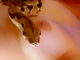 Naked Asian Babe with Snake