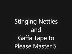 Nettles for Taskmaster S