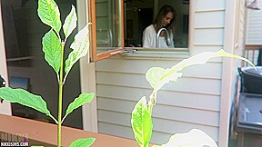 Nikki Dish Washer Creep