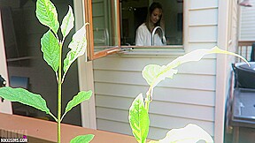 Nikki Dish Washer Creep