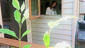 Nikki Dish Washer Creep
