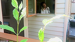 Nikki Dish Washer Creep