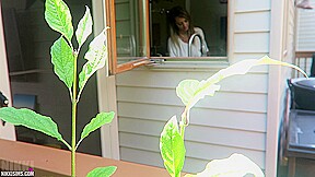 Nikki Dish Washer Creep