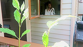 Nikki Dish Washer Creep