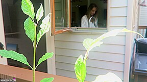 Nikki Dish Washer Creep
