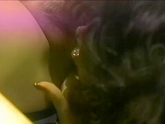 Nikki Wilde, Leann A And Leanna Foxx In Classic Lesbian 1991
