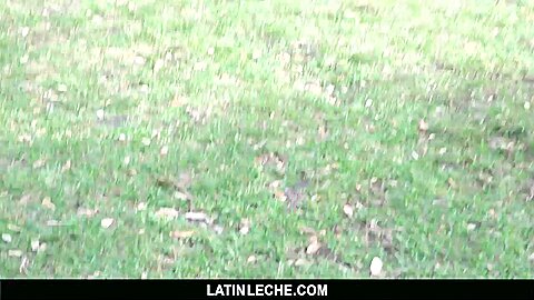 Numero 6 - LatinLeche