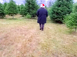 Oh Christmas Tree!