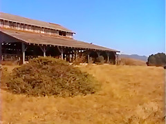 Outdoor vintage fuck on farm
