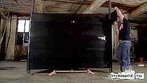 Pallet Wrapped & Abused - Max Brown & Sebastian Kane
