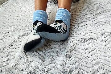 Penguin Stockings Fetish