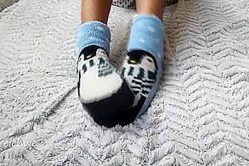 Penguin Stockings Fetish