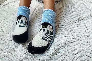 Penguin Stockings Fetish