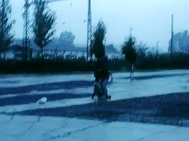 Pleasant Days (2002)