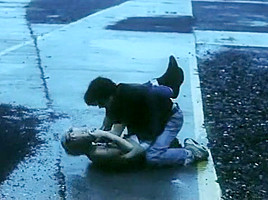 Pleasant Days (2002)
