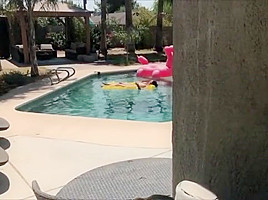 Pool Guy 4 - The