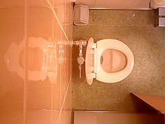 Public toilet ceiling catches women pissing