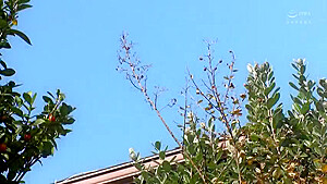 RGS626-LPTGUYPEUJ774381598
