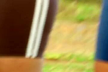 SDRUWS2 - 2 LARGE CAMELTOES IN PUBLIC PARK