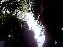 SEX IN THE WOODS