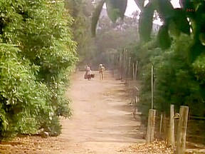 Sex Scenes from Bedtime Stories : The Farmer's Step daughter