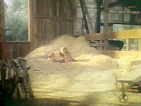 Sex Scenes from Bedtime Stories : The Farmer's Step daughter