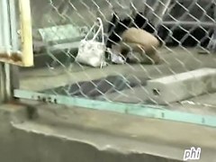Skinny slutty vixen getting caught off her guard during sharking attack