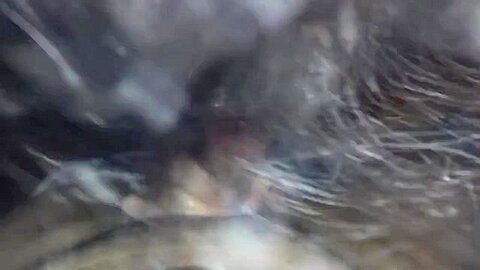 Slut Loves Sucking Daddys Dick