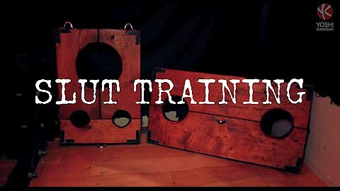 Slut Training