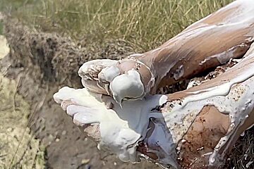 Smashing A Cake With My Feet  The Chocolate And Cream Gateaux Feels So Nice Between My Toes
