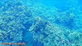 Snorkeling Leads To Fucking With Aria - ATKGirlfriends