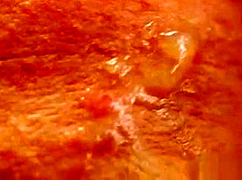 Spicy Looker Gets Cumshot On Her Face Sucking All The Jizm