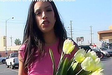 Stunning Mocha Babe With Yellow Tulips Was Picked Up By Lusty Felloe